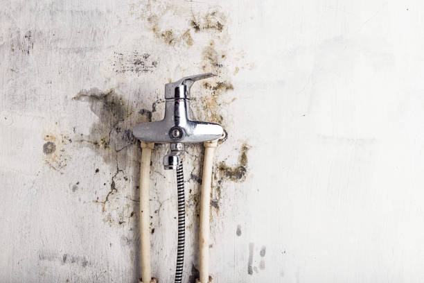Best Residential Mold Remediation in Indian River Shores, FL