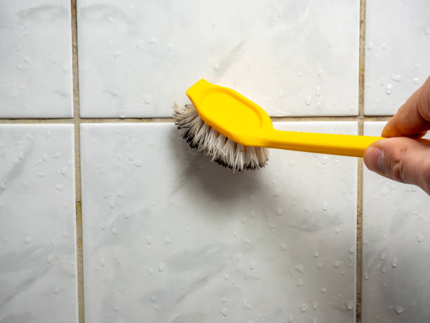 Best Black Mold Remediation in Indian River Shores, FL