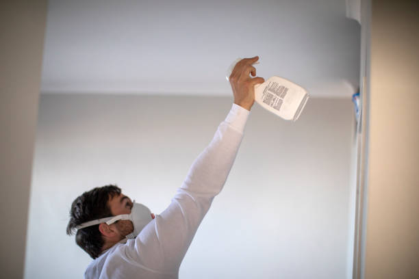 Best Preventive Mold Services in Indian River Shores, FL